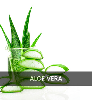 Sliced Aloevera