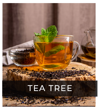 Dry tea in a bowl and a cup of tea with mint
