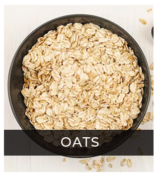 Oats in a bowl