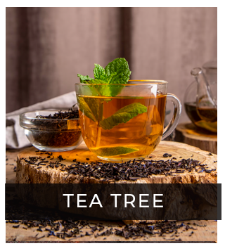 Tea Tree