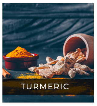 Dry turmeric and powdered turmeric in bowl