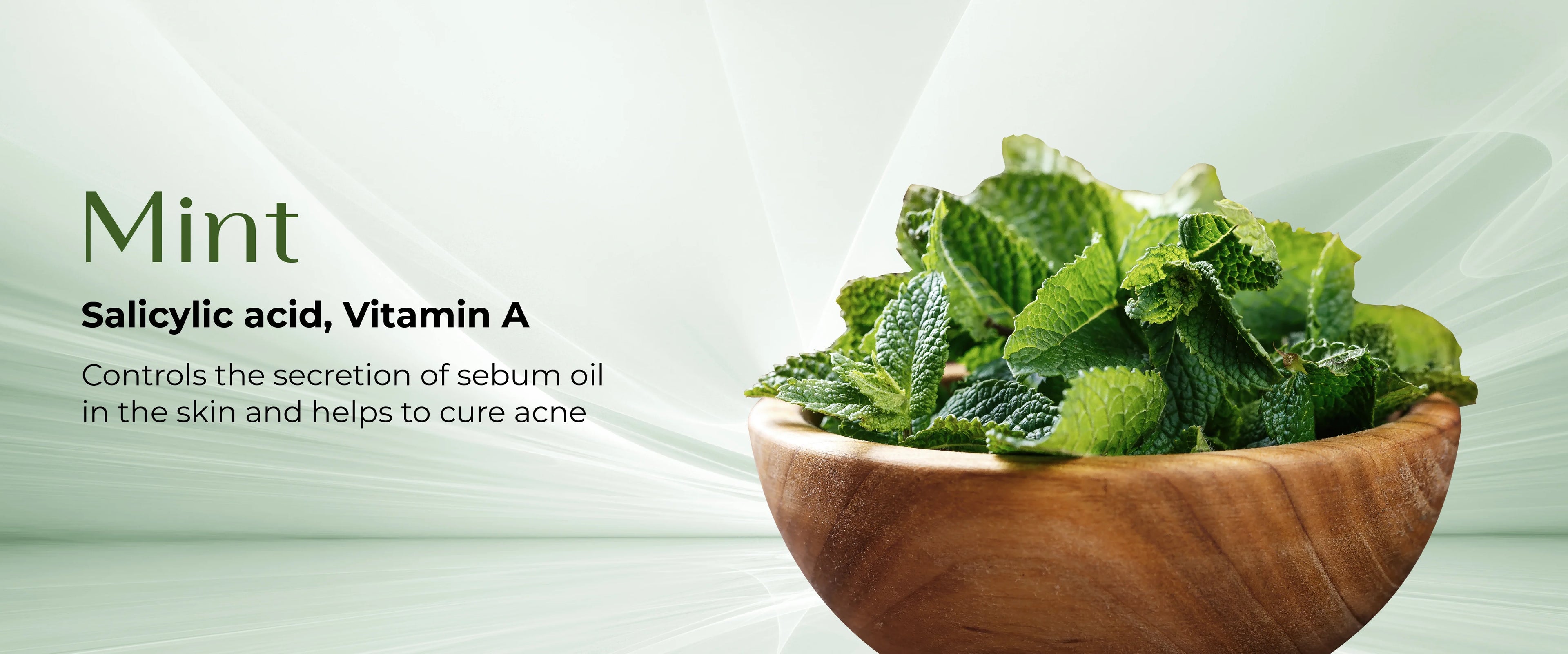 Bowl of fresh green mint with its benefits for the skin