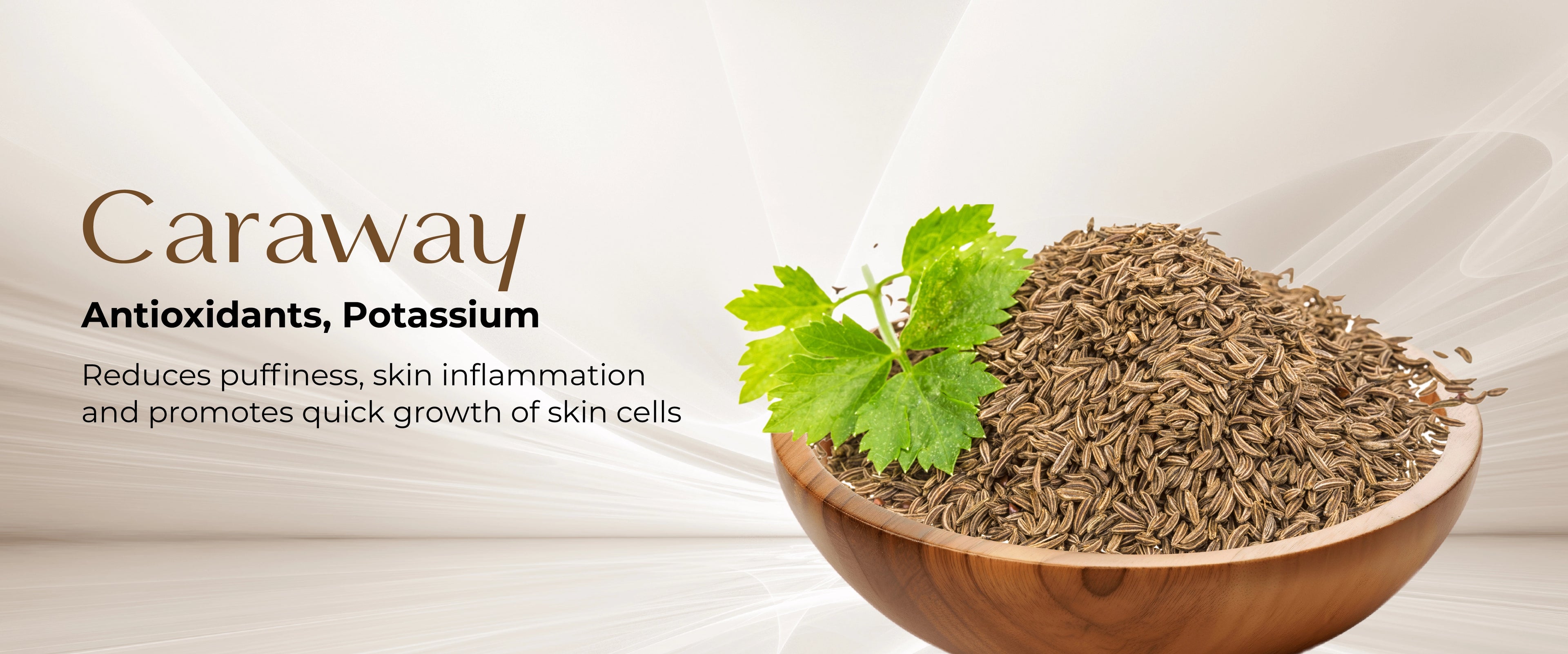 Bowl of Caraway with its benefits for the skin